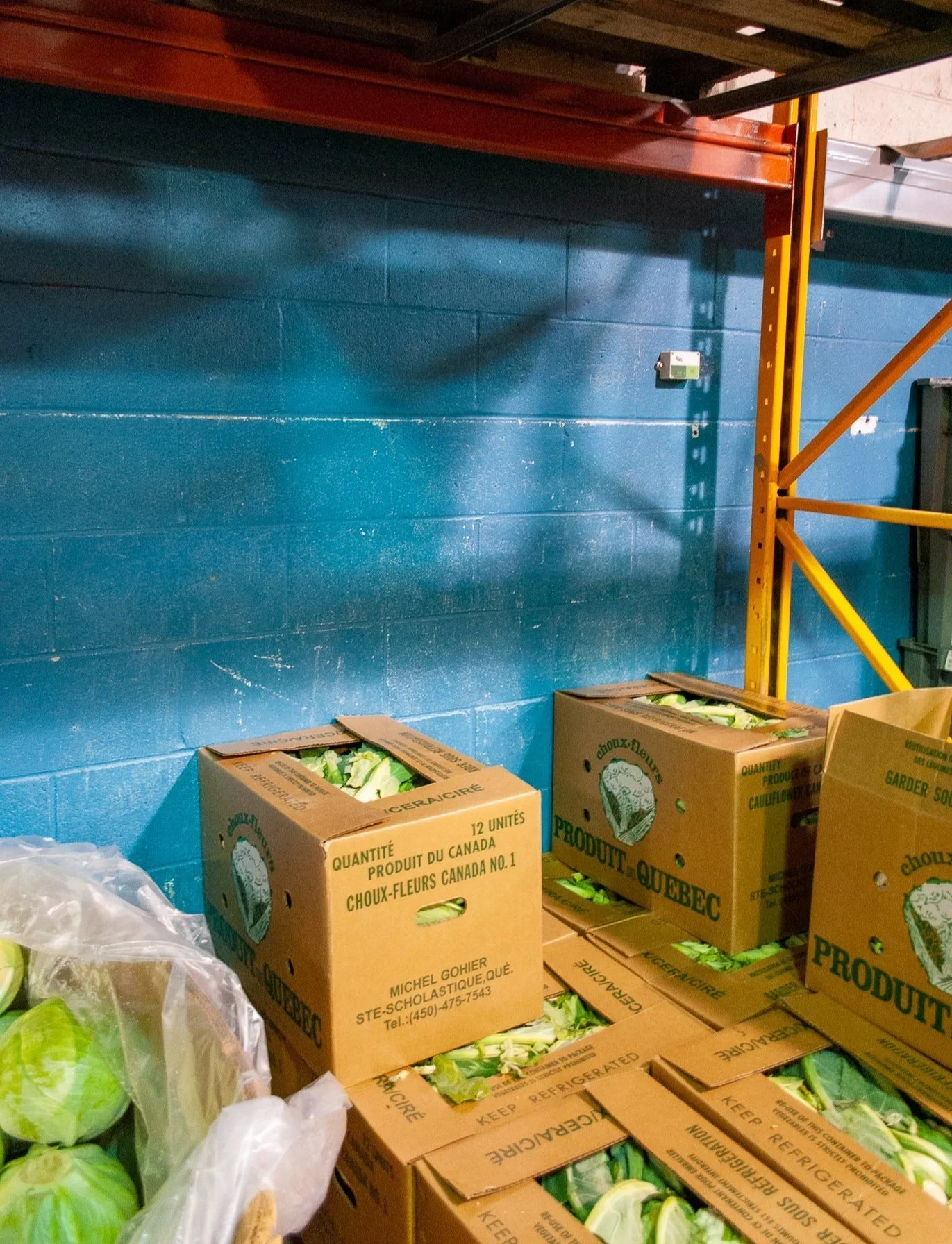 Sonde AGL : 5 avantages pour les entrepôts de fruits et légumes
