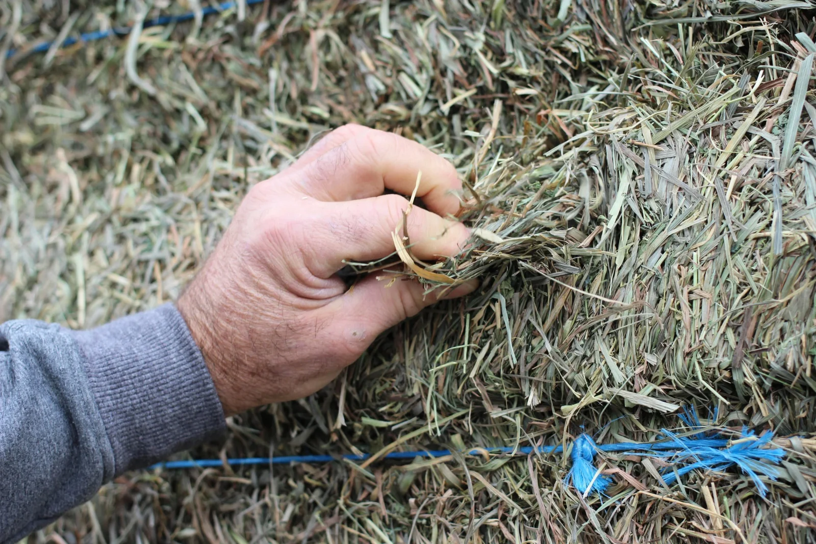 Tout savoir sur l’humidimètre pour foin sec